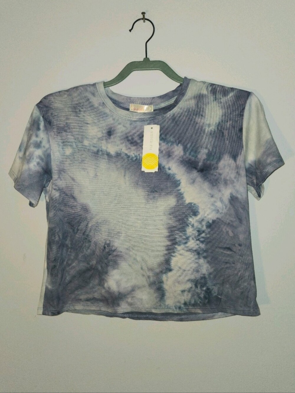 NWT Sunset West Blue Boxy Crop T-shirt